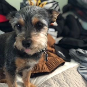 Meet your Posher, Janette